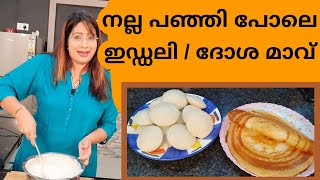 How To Make The Perfect Idli Dosa Batter അടിപൊളി ഇഡ്ഡലി  ദോശ മാവിന്റെ കൂട്ട്  Lekshmi Nair [upl. by Rafferty]