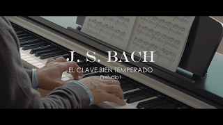 El clave bien temperado  Preludio I  J S BACH [upl. by Kepner665]