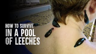 How to Survive a Pool of Leeches [upl. by Horner]