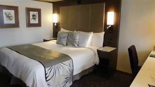 Dont Get This Stateroom  Oosterdam Signature Suite 8087 [upl. by Pauly]