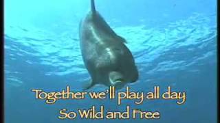 Dolphin Song with Lyrics [upl. by Nolasba]