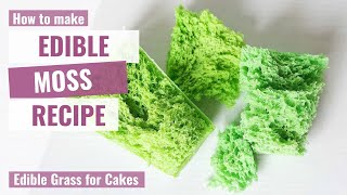 HOW TO MAKE EDIBLE MOSS  Edible Grass for Cakes [upl. by Valerle]