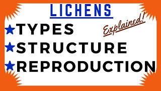 Lichen Crustose Foliose Fruticose  Algae Fungi Symbiosis  Lichens Diagram  Structure Reproduction [upl. by Ardel243]