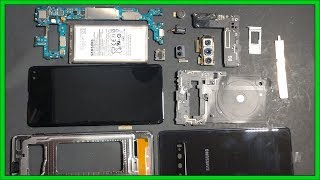 Samsung Galaxy S10 Plus Disassembly Teardown Repair Video Guide Any Bitcoin Inside [upl. by Serolod684]