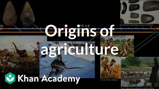 Origins of agriculture  World History  Khan Academy [upl. by Ahsik]