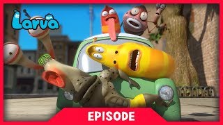 LARVA  LAUGHING  Larva 2017  Cartoons  Comics  Larva Cartoon  LARVA Official [upl. by Faun]