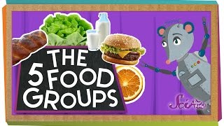 The 5 Fabulous Food Groups [upl. by Halona]