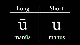 The Latin Alphabet  Vowel Pronunciation [upl. by Doownyl]