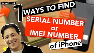 How To Find Serial Number or IMEI Number of iPhone [upl. by Annahsat]