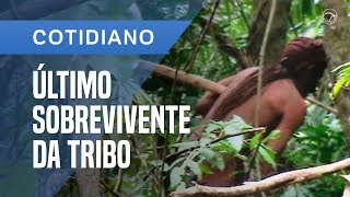 ÍNDIO SOBREVIVENTE VIVE ISOLADO HÁ 22 ANOS NA AMAZÔNIA [upl. by Rednas]