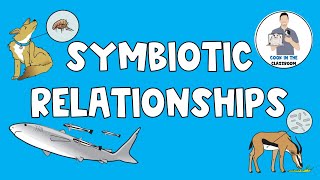 Symbiotic Relationships [upl. by Lais399]