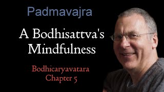 A Bodhisattvas Mindfulness  Bodhicaryavatara Chapter 5 [upl. by Ahsik]