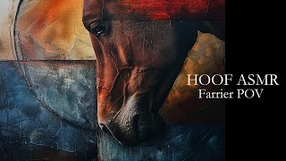 HORSE HOOF ASMR  Farrier POV [upl. by Suiratnod]