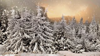 Schneesturm Geräusche in der Natur zum Einschlafen 4 Stunden Windgeräusche [upl. by Wheeler]