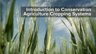 Introduction to Conservation Agriculture Cropping Systems [upl. by Ecart]