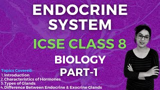 Endocrine System  ICSE CLASS 8 Biology  Part  1 [upl. by Anemolif786]