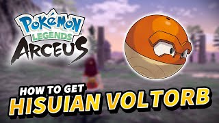 How to get HISUIAN VOLTORB Location  Pokemon Legends Arceus [upl. by Yrekaz]