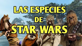 TOP 10 MEJORES PERSONAJES DE STAR WARS [upl. by Nilya967]