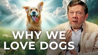 Eckhart Tolle on Dogs A Life Beyond Ego [upl. by Geddes]