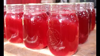 308 How to Make Plum Jelly [upl. by Kihtrak]