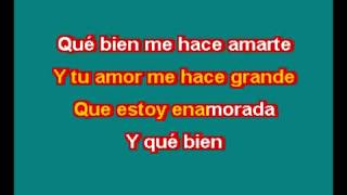 THALIA ESTOY ENAMORADO KARAOKE [upl. by Ardnasil]