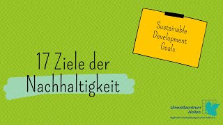 Die SDGs  17 Nachhaltigkeitsziele [upl. by Ailuig638]