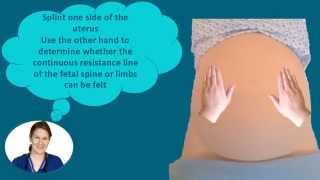 Abdominal Palpation Tutorial for Student Midwives [upl. by Navarro228]