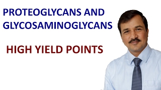 Proteoglycans and Glycosaminoglycans [upl. by Ralat]