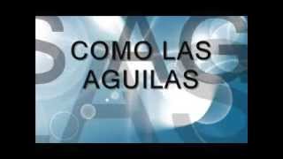 Como las Aguilas Letra Patricio Mena [upl. by Ecinaj498]