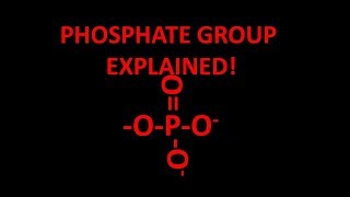 Phosphate functional group explained [upl. by Nelrah236]