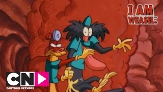 The Incredible Shrinking  I Am Weasel  Cartoon Network [upl. by Raeann]