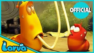 LARVA  ALIEN  Cartoons  Comics  HALLOWEEN  Larva Cartoon  LARVA Official [upl. by Duck]