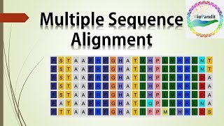 Multiple Sequence Alignment [upl. by Nwhas622]