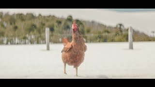 Crossroads  KFC Funny Commercial [upl. by Cleopatra]