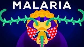 Genetic Engineering and Diseases – Gene Drive amp Malaria [upl. by Aon835]