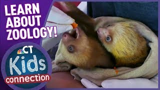 Whats It Like To Be A Zoologist  NBC Connecticut Kids Connection [upl. by Aneroc901]