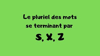 Le pluriel des mots se terminant par S X Z [upl. by Gaylor]