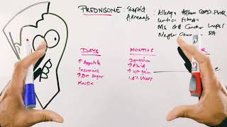 The Sad Truth About Turkesterone [upl. by Lleder]