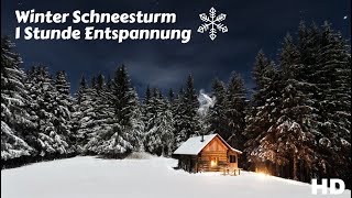 ❄️ Blizzard amp Schneesturm ❄️ Winter Geräusche 🔈 perfekt zum einschlafen 🌨 [upl. by Lilas]