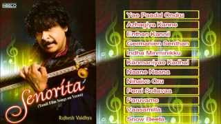 Rajhesh Vaidhya Veena  A Tribute To Isaignani Ilayaraja  Instrumental  Tamil Film Super hit Songs [upl. by Ardnic111]