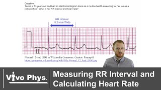 Measuring RR Interval and Calculating Heart Rate [upl. by Neelik]