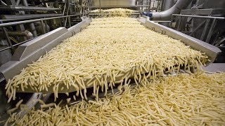 World Amazing Automatic French Fries Production Line Modern Food Processing Technology [upl. by Dole]