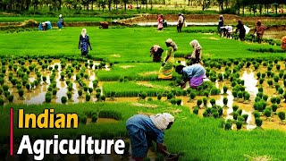 AGRICULTURE IN INDIA  Documentary [upl. by Rayham]