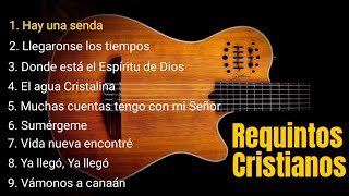 25 minutos de REQUINTOS CRISTIANOS En Guitarra 🎸🎵 [upl. by Yralih]