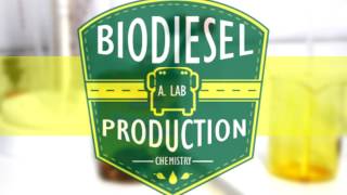 Biodiesel Production from Palm Oil ChemRus  Chemistry [upl. by Ronyam]