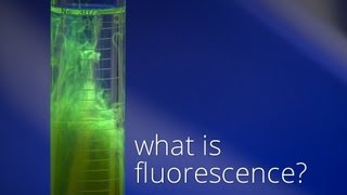 What is Fluorescence [upl. by Ahsoyem]