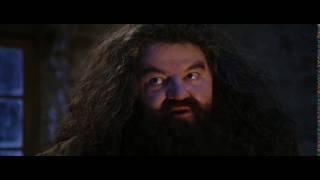 quotYoure a wizard Harryquot  Hagrid [upl. by Mary]