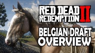 Red Dead Redemption 2 Horses  Belgian Draft Overview [upl. by Aramo]