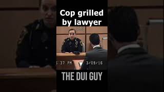 Law Student OWNS Cops [upl. by Copeland585]