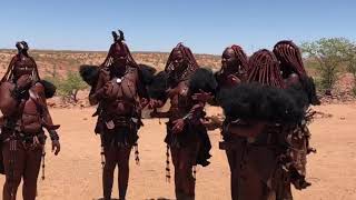 Himba Tribe Dancing in Namibia  Away to Africa IMetGodSheLivesInAfrica [upl. by Maloney268]